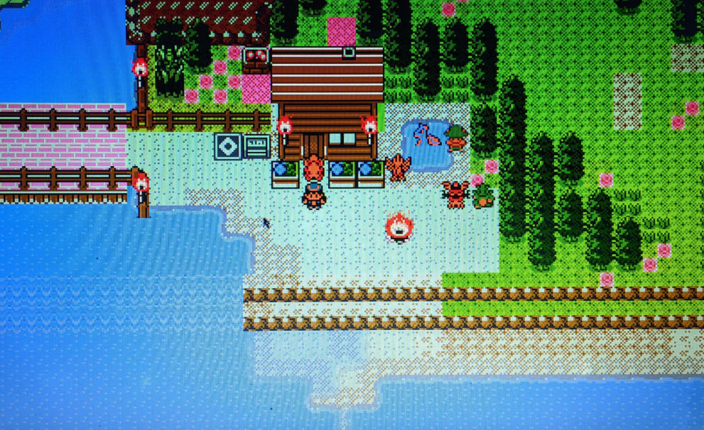 pokewilds